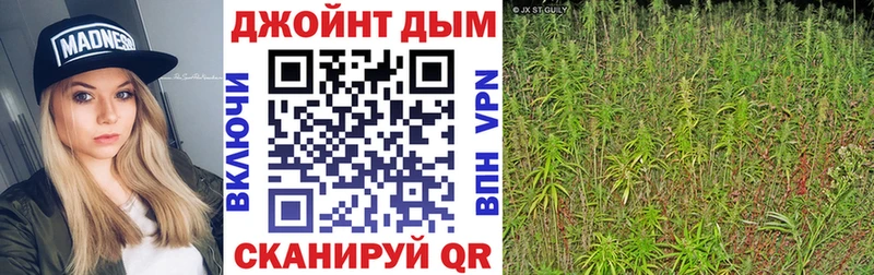 Шишки марихуана THC 21%  Иланский 